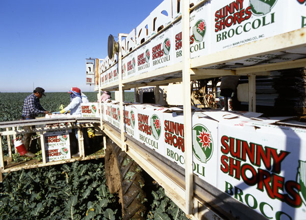 Mann Packing Celebrates 75 Years of Business